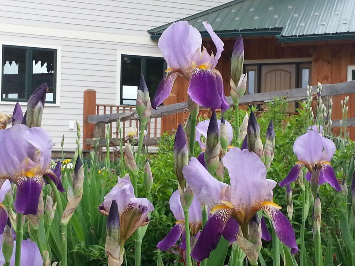 Tenwood Lodge Ithaca Exterior foto